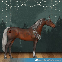 Horse Color:White Spotted Silver Brown Tobiano