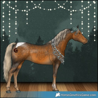 Horse Color:Chocolate Palomino Tobiano 
