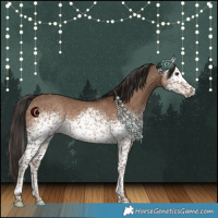 Horse Color:White Spotted Liver Red Dun Tobiano 