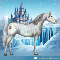 Horse Color:Silver Grullo Ice 