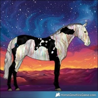 Horse Color:Silver Bay Ice Tobiano