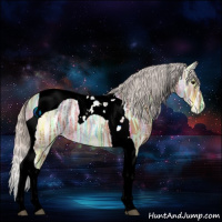 Horse Color:Silver Bay Ice Tobiano