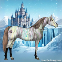 Horse Color:Liver Chestnut Ice