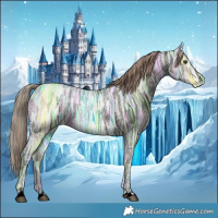 Horse Color:Liver Chestnut Ice 