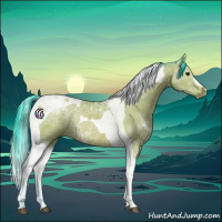 Horse Color:Watercolor Bay Ice Tobiano Rabicano 