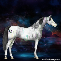 Horse Color:Black Ice Tobiano 