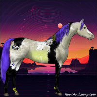 Horse Color:Watercolor Bay Ice Tobiano 
