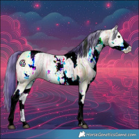 Horse Color:Watercolor White Spotted Bay Ice Tobiano