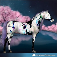 Horse Color:Watercolor White Spotted Bay Ice Tobiano 