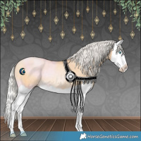 Horse Color:Silver Buckskin Pearl Splash Rabicano 