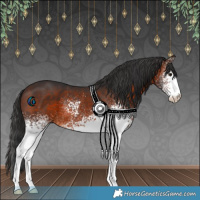 Horse Color:White Spotted Brown 