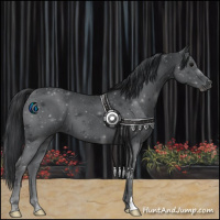 Horse Color:Blue Roan 