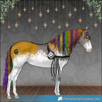 Horse Color:Painted White Spotted Grullo 