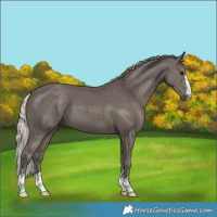 Horse Color:Silver Black 
