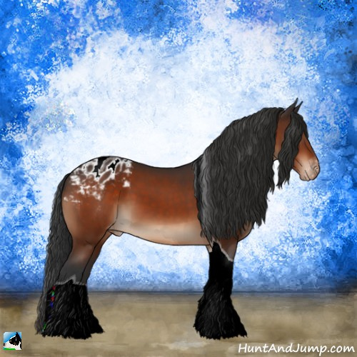 Horse Color:Brown Tobiano Appaloosa 