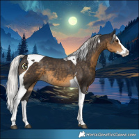 Horse Color:Silver Smoky Black Splash Tobiano 