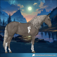 Horse Color:Silver Smoky Black Tobiano 