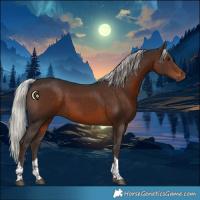 Horse Color:Silver Brown Tobiano Rabicano 