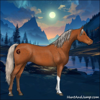 Horse Color:Silver Buckskin Roan Tobiano Rabicano 