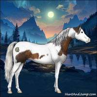 Horse Color:Silver Smoky Black Splash Tobiano 
