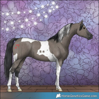 Horse Color:Grullo Tobiano Brindle 
