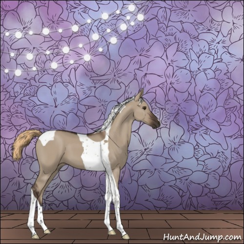 Horse Color:Liver Red Dun Tobiano 