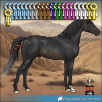 Horse Color:Brown 