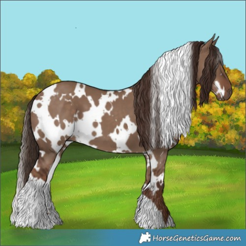 Horse Color:White Spotted Liver Red Dun 
