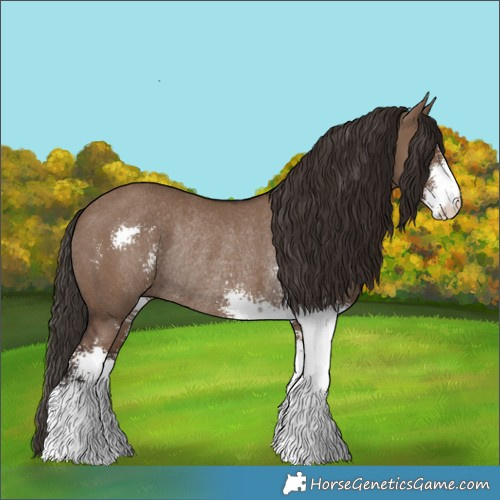 Horse Color:Liver Red Dun Sabino Rabicano 