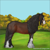 Horse Color:Liver Chestnut Sabino 