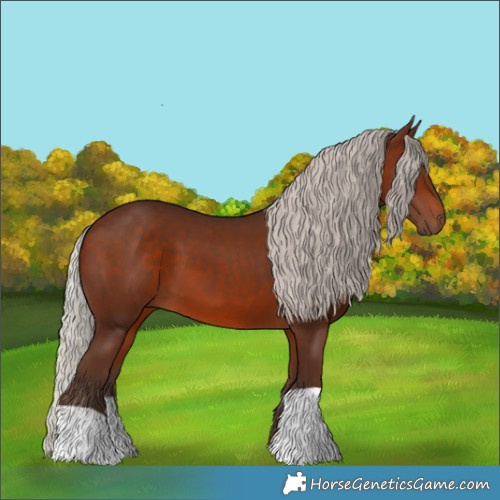 Horse Color:Silver Brown 