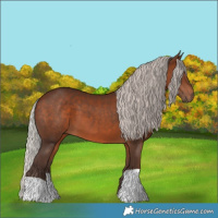 Horse Color:Silver Brown 