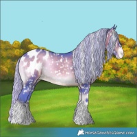 Horse Color:Watercolor Silver Brown Onyx Appaloosa 