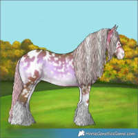 Horse Color:Watercolor Silver Brown Onyx Appaloosa