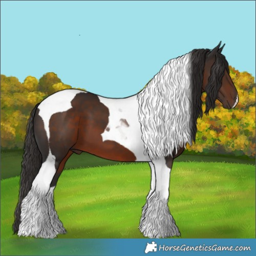 Horse Color:Liver Chestnut Tobiano 