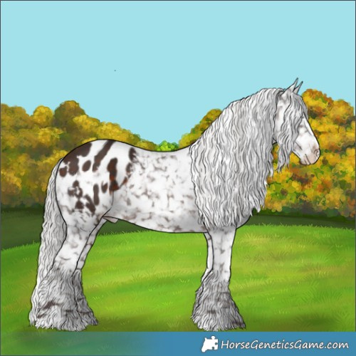 Horse Color:White Spotted Silver Brown Appaloosa 