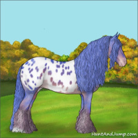 Horse Color:Watercolor Liver Chestnut Appaloosa 