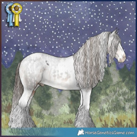 Horse Color:White Spotted Liver Chestnut Splash Tobiano Appaloosa  and White Spotted Liver Chestnut Splash Tobiano Appaloosa 