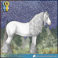 Horse Color:White Spotted Liver Chestnut Splash Tobiano Appaloosa  and White Spotted Liver Chestnut Splash Tobiano Appaloosa 