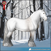 Horse Color:Gray Liver Red Dun Roan Tobiano Brindle 