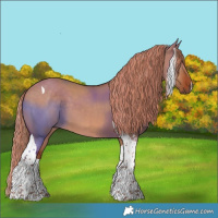 Horse Color:Red Dun Tobiano 
