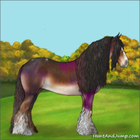 Horse Color:Gray Chestnut  and Gray Liver Chestnut Splash Tobiano 