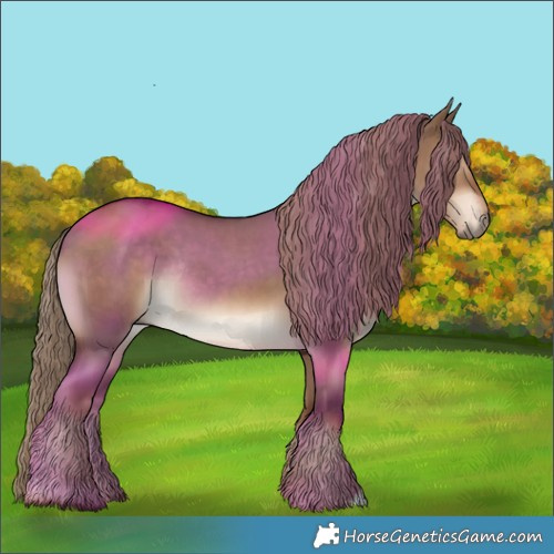 Horse Color:Liver Red Dun Rabicano 