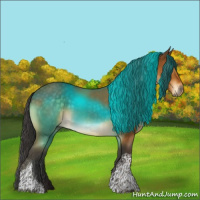 Horse Color:Buckskin Tobiano 