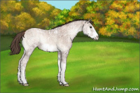 Horse Color:Blue Onyx Ice Roan Pearl Frame