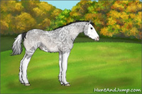 Horse Color:Blue Onyx Ice Splash 