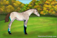 Horse Color:White Spotted Liver Red Onyx Ice Pearl 