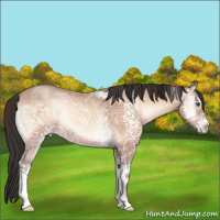 Horse Color:White Spotted Sable Champagne Ice Onyx