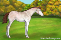 Horse Color:White Spotted Liver Red Onyx Ice Pearl
