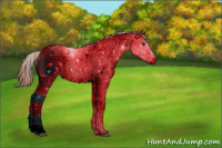 Horse Color:ERROR: UNKNOWN ANOMALY